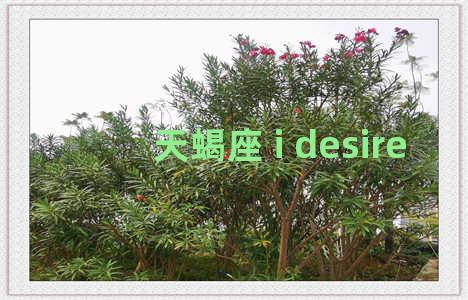 天蝎座 i desire